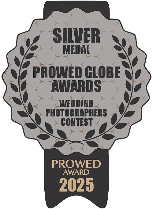 PROWED Globe Awards Silver Medal